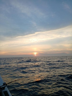 20220720_191750.jpg