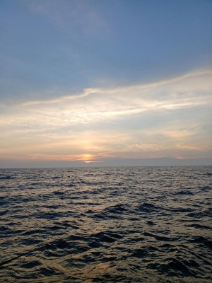20220720_192048.jpg