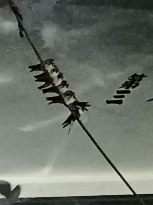 20250614_002615.jpg