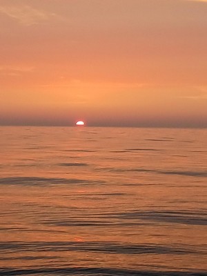 20250701_193122.jpg
