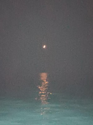 20250701_224601.jpg