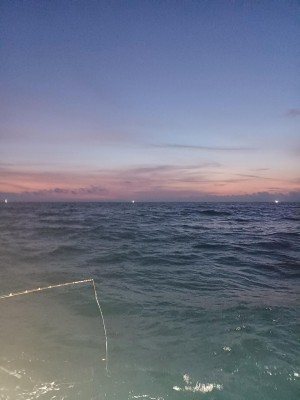 20250706_200216.jpg