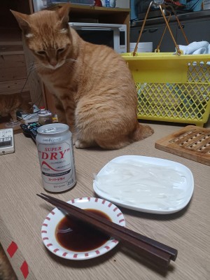 20250708_004847.jpg