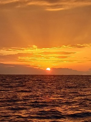 20250930_180021.jpg