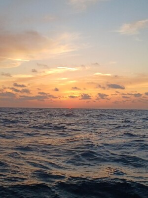 20260730_192043.jpg