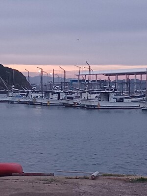 20260809_053238.jpg